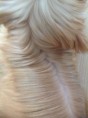 /album/rmoretto-cane-adele-oneandonly/a2013-12-31-17-42-39-jpg/
